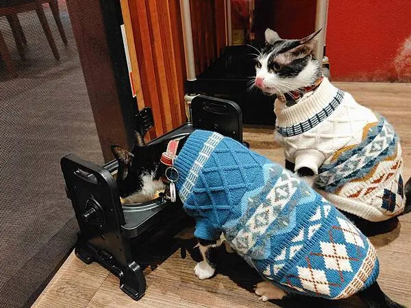 🍴〔餐廳×嘉義〕橘子火鍋 | 南部最強麻辣火鍋，高CP值超人