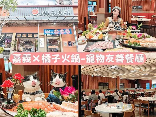 🍴〔餐廳×嘉義〕橘子火鍋 | 南部最強麻辣火鍋，高CP值超人