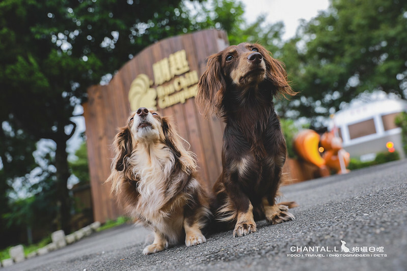 桃園Bon Chill Glamping必住！美食活動全包，天成逸旅餐點豐富又好玩。