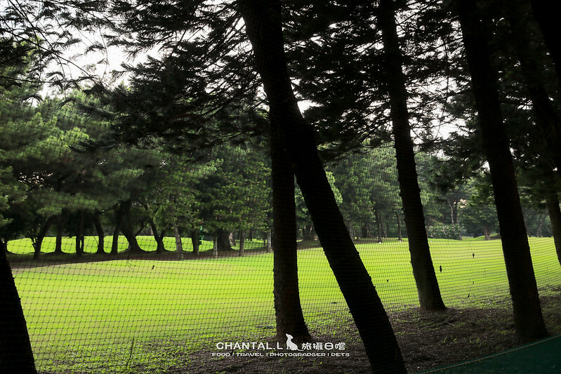 桃園龍潭豪華露營推薦Bon Chill親子度假首選，豪華住宿必住。