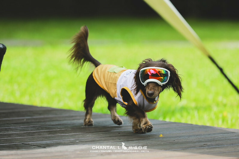 桃園Bon Chill Glamping必住！美食活動全包，天成逸旅餐點豐富又好玩。