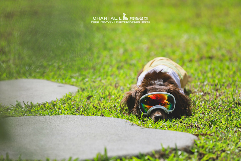 桃園Bon Chill Glamping必住！美食活動全包，天成逸旅餐點豐富又好玩。