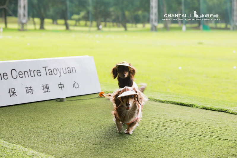 桃園Bon Chill Glamping必住！美食活動全包，天成逸旅餐點豐富又好玩。