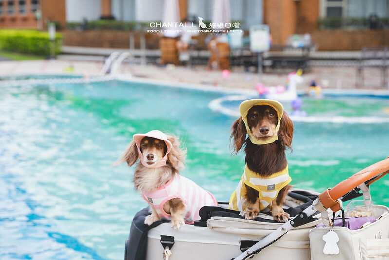 桃園Bon Chill Glamping必住！美食活動全包，天成逸旅餐點豐富又好玩。