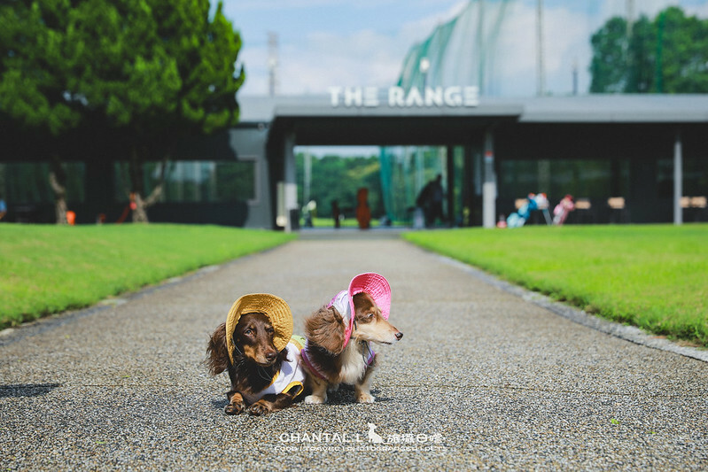 桃園Bon Chill Glamping必住！美食活動全包，天成逸旅餐點豐富又好玩。