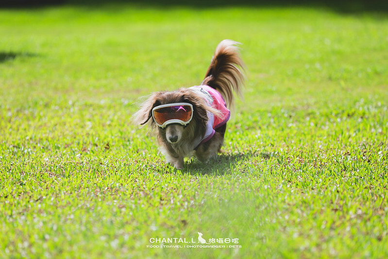 桃園Bon Chill Glamping必住！美食活動全包，天成逸旅餐點豐富又好玩。