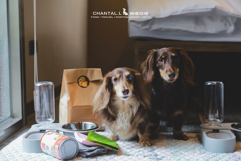 桃園Bon Chill Glamping必住！美食活動全包，天成逸旅餐點豐富又好玩。