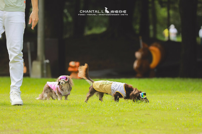 桃園Bon Chill Glamping必住！美食活動全包，天成逸旅餐點豐富又好玩。