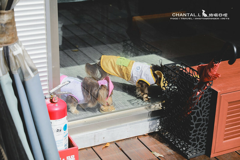 桃園Bon Chill Glamping必住！美食活動全包，天成逸旅餐點豐富又好玩。