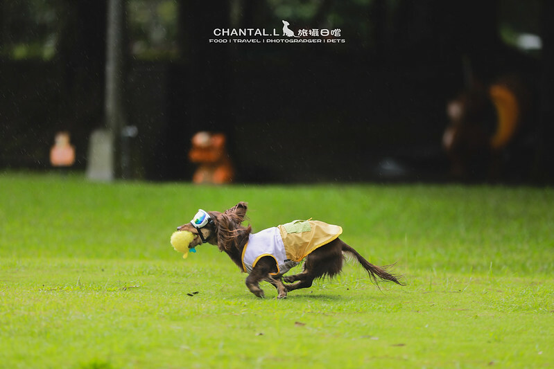 桃園Bon Chill Glamping必住！美食活動全包，天成逸旅餐點豐富又好玩。