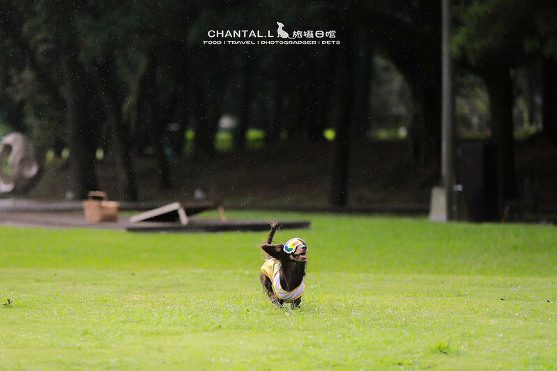 桃園Bon Chill Glamping必住！美食活動全包，天成逸旅餐點豐富又好玩。