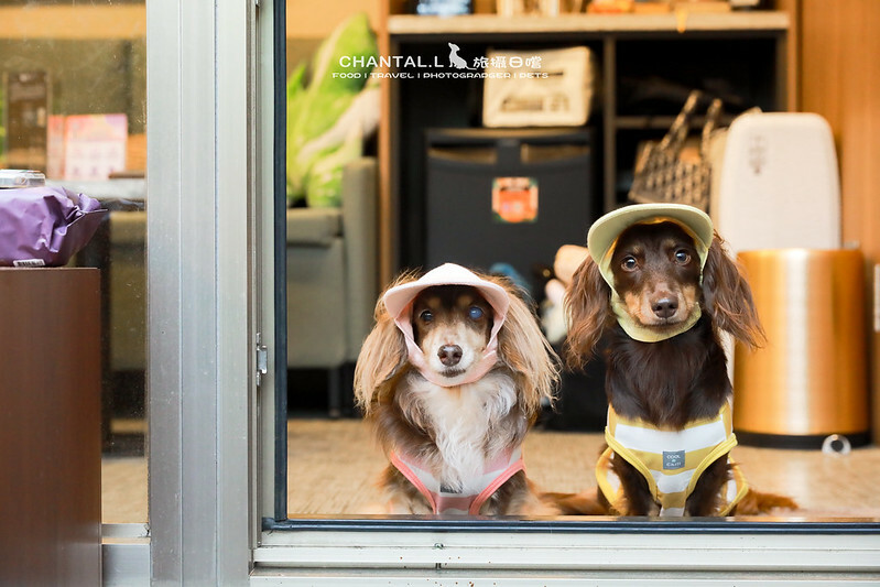 桃園Bon Chill Glamping必住！美食活動全包，天成逸旅餐點豐富又好玩。