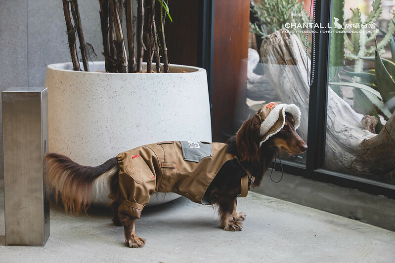 1J6A6317-2拷貝 拷貝