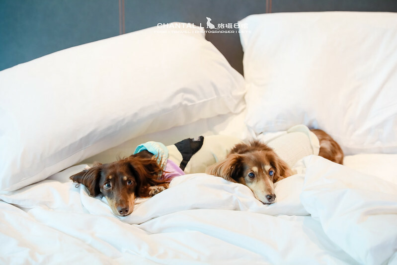 1J6A1622拷貝-2 拷貝