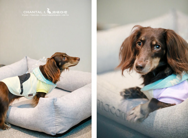 1J6A1693拷貝-2 拷貝 2