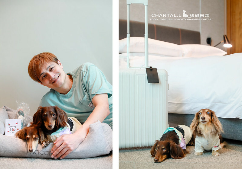 1J6A1353拷貝-2 拷貝 2