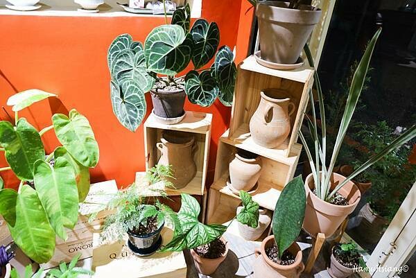 新北市新店區【食￭小碧潭】le nord北方/小碧潭捷運站咖啡廳/精選盆栽販售/小碧潭下午茶推薦/小碧潭甜點推薦