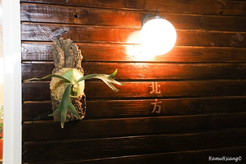 新北市新店區【食￭小碧潭】le nord北方/小碧潭捷運站咖啡廳/精選盆栽販售/小碧潭下午茶推薦/小碧潭甜點推薦