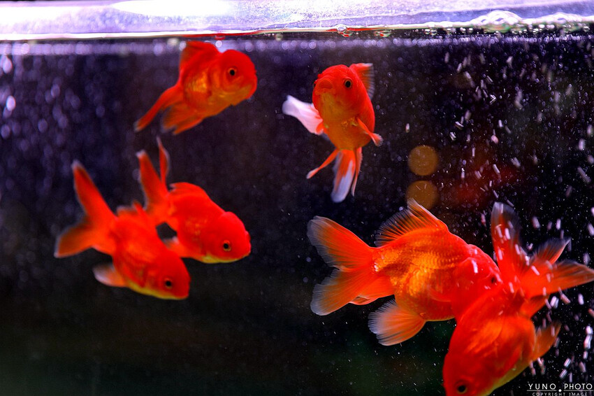 今於朝食&今於串燒酒食｜營業到凌晨兩點的深夜食堂 主打熱炒、串燒 搭配獨門醬汁涮嘴夠味 一吃就上癮。菜單價位(台中西屯)