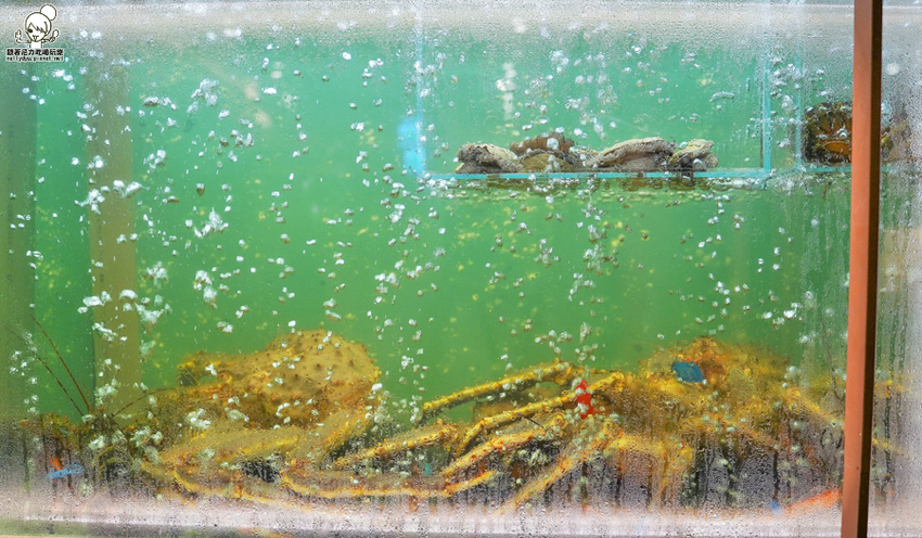 星級漢來大飯店 精緻海鮮火鍋，品味澎派鮮味火鍋 - 跟著尼力吃喝玩樂＆親子生活