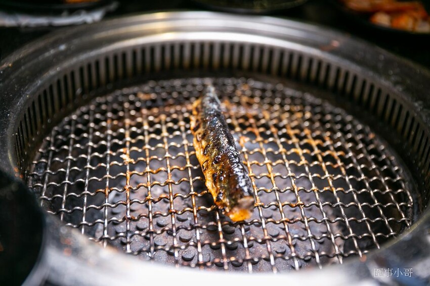桃園中壢燒肉吃到飽推薦-胖肚肚燒肉吃到飽!台北平價燒肉吃到飽開在中壢夜市附近啦~營業到凌晨十二點而且CP值非常高的燒肉吃到飽我來啦~(飛奔 @圍事小哥的幸福相框