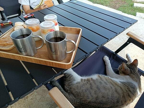 嘉義縣番路鄉嘉義全新開幕的免裝備懶人露營【歸樸森活】人來就好、享受5星級的住宿環境、7星級的衛浴設備！免開蜿蜒山路