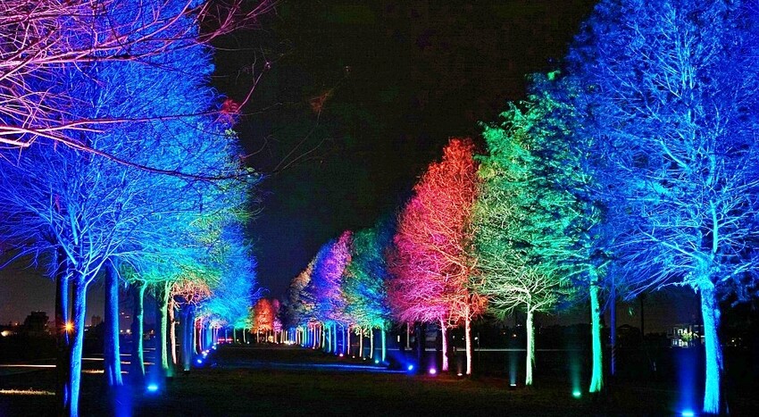 宜蘭縣礁溪鄉快炒樂室》墨西哥露營風時尚快炒，2~8人組合套餐，宇宙泡泡蝦超有噱頭必點