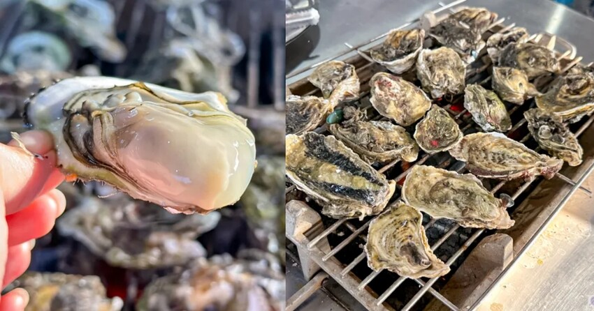 嘉義縣竹崎鄉美食-百年檜木甜甜圈