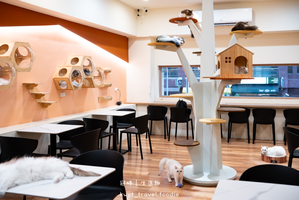 半刻貓·有貓的咖啡館,媲美甜點店的巴斯克蛋糕,與24隻貓咪共度美好時光,高雄貓咪咖啡廳推薦_2025菜單 – 冠婷生活趣