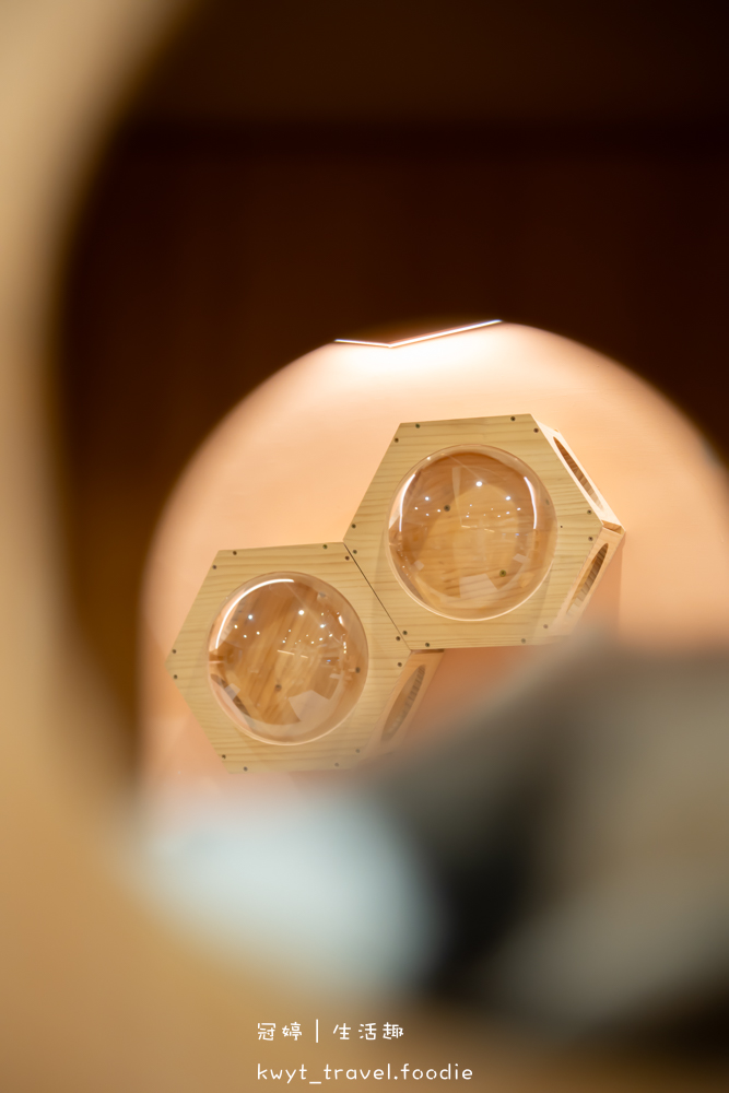 半刻貓·有貓的咖啡館,媲美甜點店的巴斯克蛋糕,與24隻貓咪共度美好時光,高雄貓咪咖啡廳推薦_2025菜單 – 冠婷生活趣