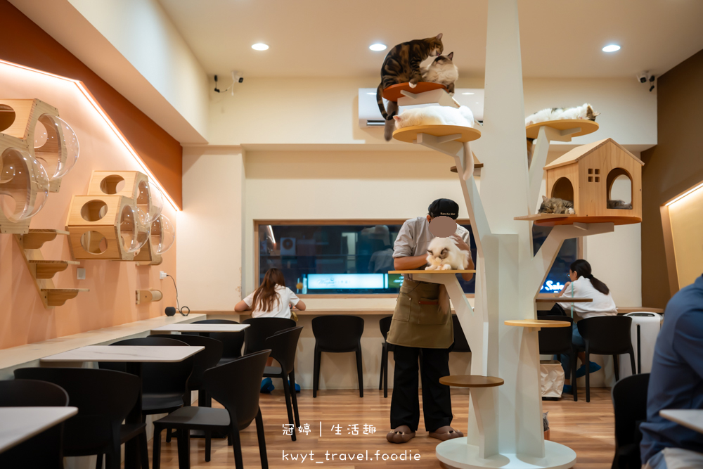 半刻貓·有貓的咖啡館,媲美甜點店的巴斯克蛋糕,與24隻貓咪共度美好時光,高雄貓咪咖啡廳推薦_2025菜單 – 冠婷生活趣