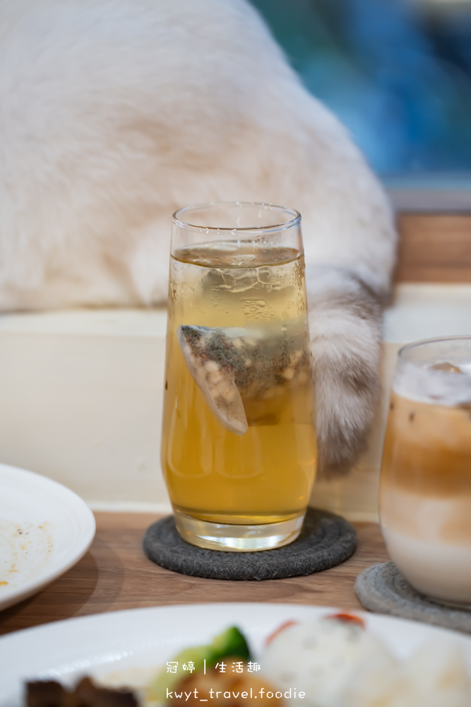 半刻貓·有貓的咖啡館,媲美甜點店的巴斯克蛋糕,與24隻貓咪共度美好時光,高雄貓咪咖啡廳推薦_2025菜單 – 冠婷生活趣