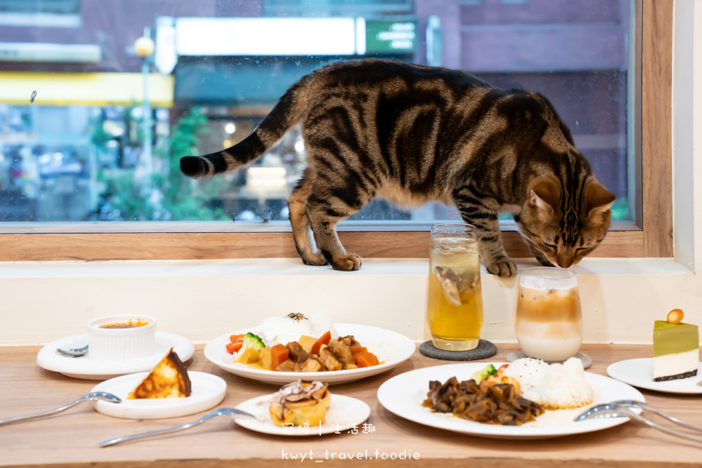 半刻貓·有貓的咖啡館,媲美甜點店的巴斯克蛋糕,與24隻貓咪共度美好時光,高雄貓咪咖啡廳推薦_2025菜單 – 冠婷生活趣