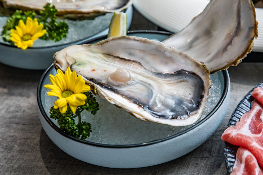 桃園市蘆竹區大明星頂流涮涮鍋|明星爭相預約!宛如高檔私人招待所,尊榮感十足套餐式頂級鍋物