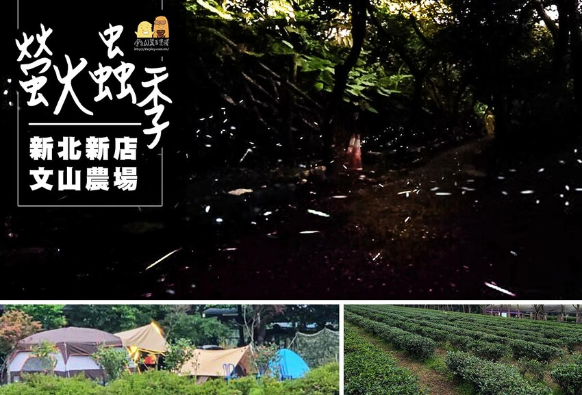 澎湖縣馬公市澎湖復國八號旅居 距離花火節超近民宿！旅宿網站評價9.8超高分澎湖住宿選擇，我在這邊被求婚了！