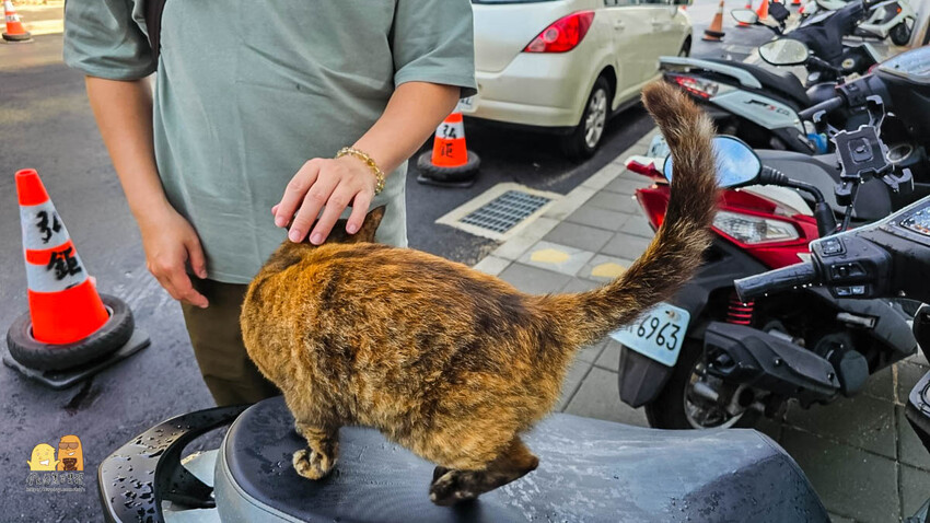 澎湖縣馬公市澎湖復國八號旅居 距離花火節超近民宿!旅宿網站評價9.8超高分澎湖住宿選擇,我在這邊被求婚了!