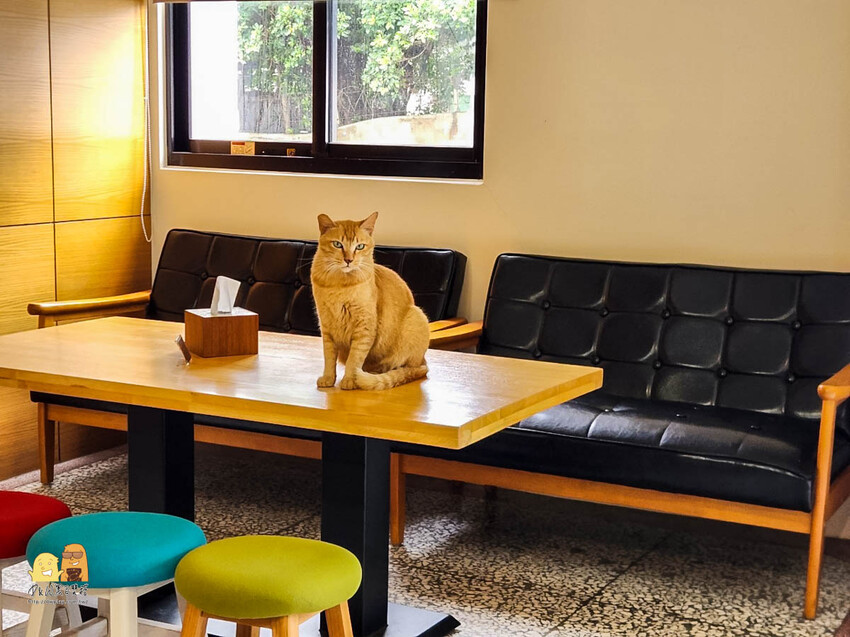 澎湖縣馬公市澎湖復國八號旅居 距離花火節超近民宿!旅宿網站評價9.8超高分澎湖住宿選擇,我在這邊被求婚了!