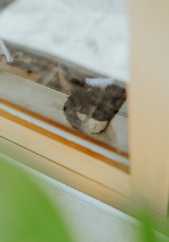 到一個不曾停留的山邊小村落,吸咖啡 甜點 和貓咪味|宜蘭東澳