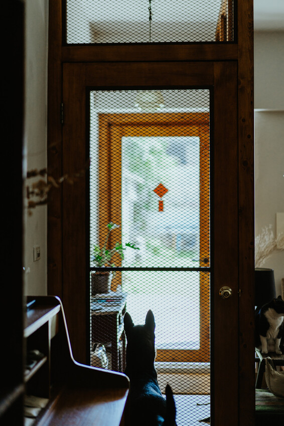 到一個不曾停留的山邊小村落,吸咖啡 甜點 和貓咪味|宜蘭東澳