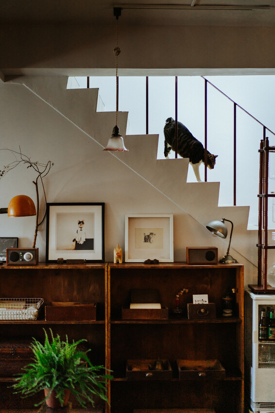 到一個不曾停留的山邊小村落,吸咖啡 甜點 和貓咪味|宜蘭東澳