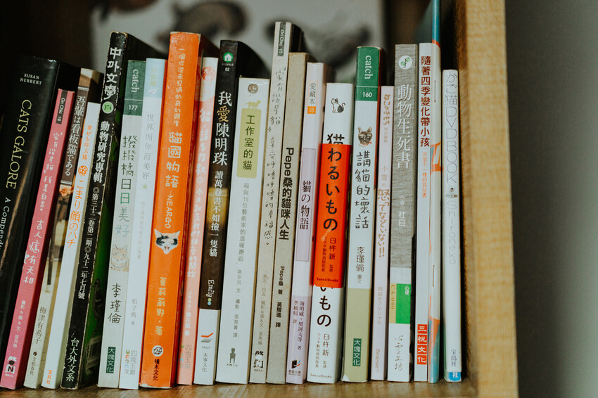 到一個不曾停留的山邊小村落,吸咖啡 甜點 和貓咪味|宜蘭東澳