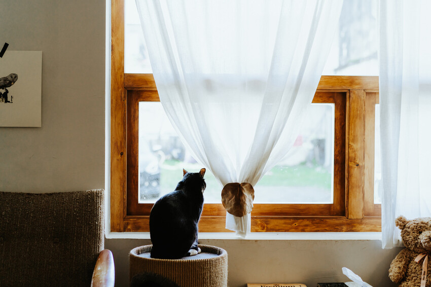 到一個不曾停留的山邊小村落,吸咖啡 甜點 和貓咪味|宜蘭東澳