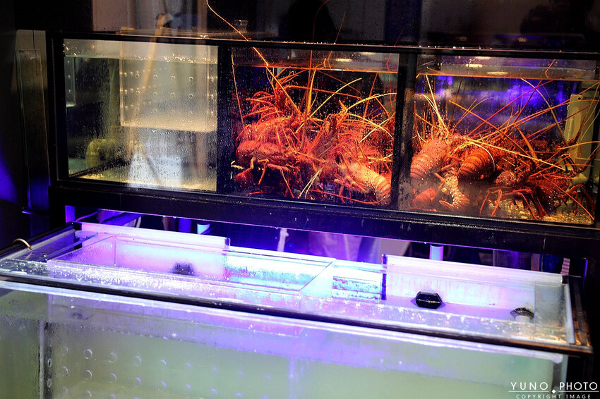 桃園市中壢區嗑私廚不必再湊人啦！色香味俱全無菜單台菜料理 一人只要880元｜燦 台菜私廚(桃園中壢美食推薦)