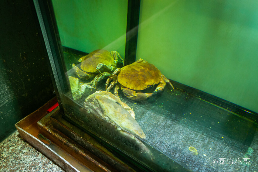 中壢無菜單料理推薦-燦台菜私廚，美味CP值又高，主廚拿手的台式創意特色料理讓我每次去吃都驚豔！ @圍事小哥的幸福相框