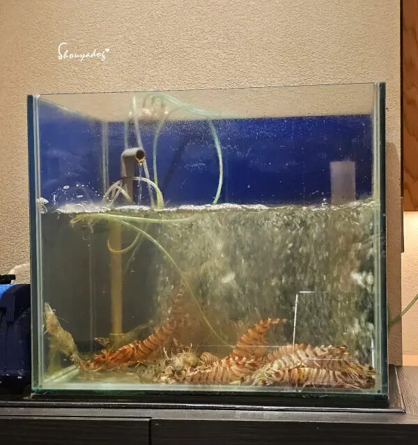 【日本料理】天婦羅 杉村 頂級板前無菜單料理 高級天婦羅初體 【日本料理】天婦羅 杉村 頂級板前無菜單料理 高級天婦羅初體