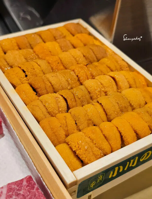 【日本料理】天婦羅 杉村 頂級板前無菜單料理 高級天婦羅初體 【日本料理】天婦羅 杉村 頂級板前無菜單料理 高級天婦羅初體