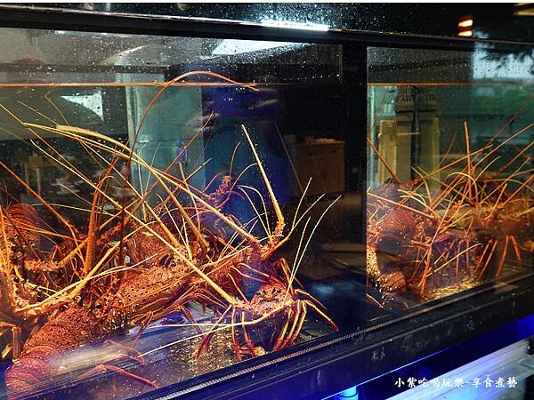 龍蝦-燦台菜私廚 (2).jpg