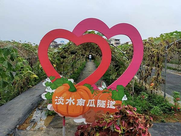 新北萬里一間冰屋~野柳海洋世界~地質公園~ 新北萬里一間冰屋~野柳海洋世界~地質公園~