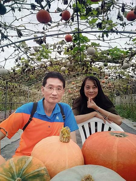 新北萬里一間冰屋~野柳海洋世界~地質公園~ 新北萬里一間冰屋~野柳海洋世界~地質公園~