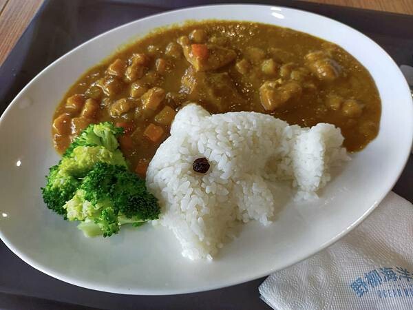 新北萬里一間冰屋~野柳海洋世界~地質公園~ 新北萬里一間冰屋~野柳海洋世界~地質公園~